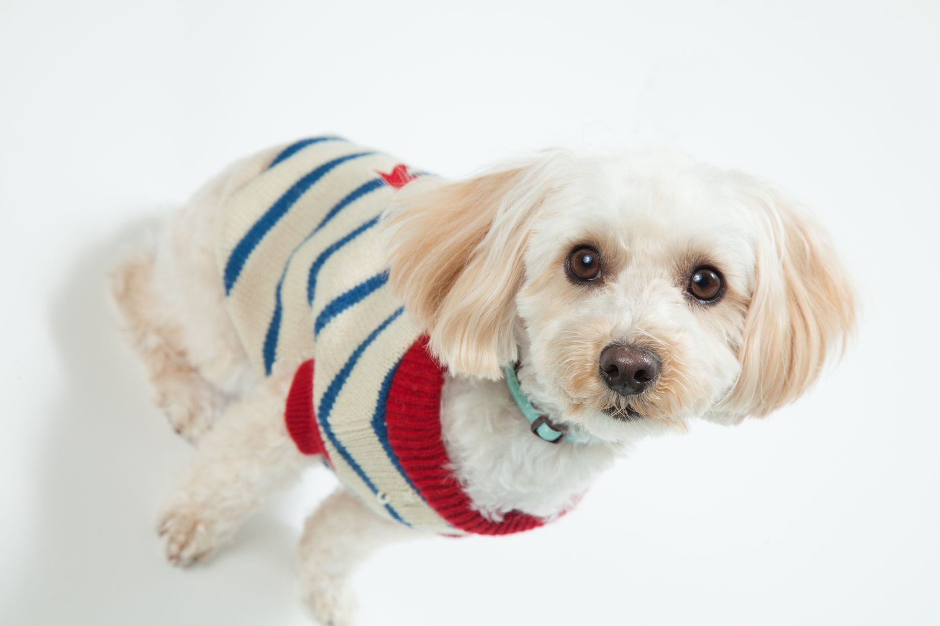 AdobeStock_198554379